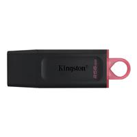 Kingston DataTraveler 256Gb USB-Stick USB3.2 